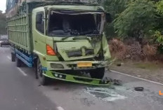 Sedang Perbaiki Mobil, Mekanik Warga Kabupaten Kaur Tutup Usia Diseruduk Fuso