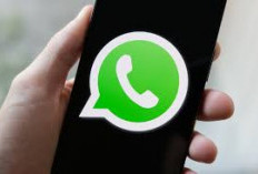 WhatsApp Tambah Fitur Baru, Kini Bisa Buat Stiker dari Foto Selfie