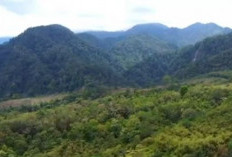 Misteri Orang Bunian di Balik Keindahan Bukit Barisan Sumatera, Menyeramkan, Ini Ciri Ciri Kedatangannya