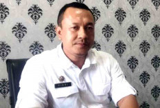 Reviltalisasi Tebat Niniak Ditarget Tahun Depan, Siap Jadi Penyangga Ratusan Hektar Sawah