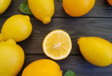 Perlu Tahu, Kandungan Nutrisi dan Manfaat Lemon untuk Kesehatan