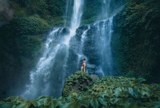 Info Wisata Lengkap Air Terjun Sekumpul, Jam Buka, dan Aktivitas Menarik