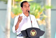 Jelang Masa Jabatan Berakhir Jokowi Fokus Berkantor Di IKN, Ternyata Ini Alasannya