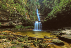 Pesona dan Keindahan Curug Mertua, Air Terjun Tersembunyi di Tengah Hutan Sumatera, Pemandangannya Memukau