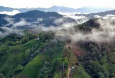 Bukit Lambosir Destinasi Wisata Memukaun di Lembah Gunung Ciremai, Favorit Kalangan Off Roder