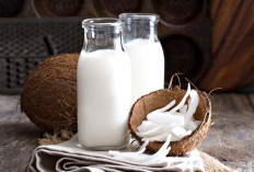 Biasakan Minum Coconut Milk, Bupati Minta Warga Tanam Kelapa di Pekarangan