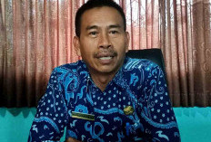 Idul Adha, Kemenag Kaur Siapkan 6 Ekor Sapi Kurban