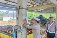 Polisi Wajibkan Truk Pengangkut Sawit Gunakan Jaring Penutup Muatan
