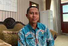 Nomor Induk Pegawai 4.423 PPPK Paruh Waktu Diusulkan ke BKN