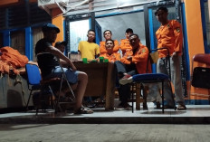 Bahayakan Jaringan Listrik, PLN Pangkas Cabang Pohon Tua di Kota Manna