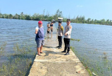 25 Hektar Sawah di Desa Tumbuk Tebing Terendam, Petani Merugi