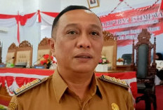 Rp 1,4 Miliar Untuk Mobnas Pimpinan DPRD Seluma