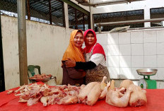 Pakan Mahal, Harga Daging Ayam Potong Ikutan Naik