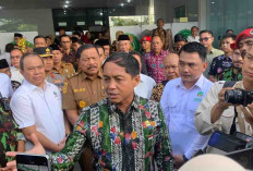 UMB Kelola 1.992 Hektar Hutan Untuk Kebutuhan Riset dan Pendidikan