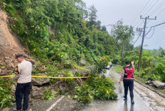 Longsor di Kaur, Separuh Jalan Desa Tertimbun