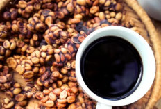 Bangga! TasteAtlas Nobatkan Kopi Indonesia dalam Daftar Kopi Terbaik Dunia 2025
