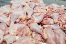 Info Harga Pasar di Bengkulu Selatan, Harga Daging Ayam Potong Kembali Meroket