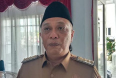 Gaji PPPK Paruh Waktu Sesuai Besaran UMP, Kontrak Satu Tahun