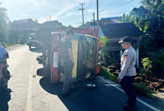 Patah Baut, Truk Pengangkut Kelapa Sawit Terbalik