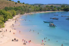 Pantai Pink Lombok, Daya Tarik, Lokasi, Fasilitas dan Tiket Masuk