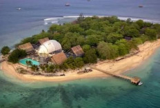 Pulau Umang Umang, Tawarkan keindahan Komplit, Pesona Pantai dan Pemandangan Bawah Laut