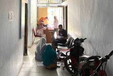 Pengusulan 3 Honorer Di Kabupaten Kaur Menjadi PPPK Paruh Waktu Dibatalkan