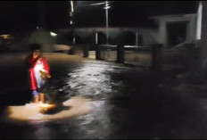 Hujan Deras Di Seluma Menyebabkan Jalan dan Rumah Warga Terendam