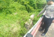 Sepeda Motor Terjun di Jembatan Mertam, Mulyono Meninggal Dunia