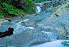 Fakta Unik Destinasi Wisata Kalipahit Di Kabupaten Bondowoso