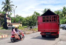 Kendaraan Berat Sebabkan Jalan di Bengkulu Selatan Rusak