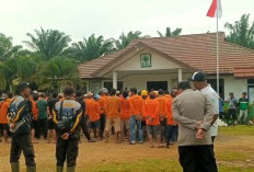 Tuntut Kenaikan Upah, Ratusan Pemanen TBS Sawit PT SIL Mogok Kerja