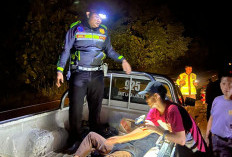 Mobil Warga Lampung Lakalantas di Kaur, 7 Terluka