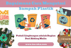 Atasi Masalah Sampah, Solusi di Bawah Ini Mungkin Bisa Diterapkan