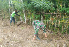 Anggota Satgas TMMD Ke-124 Kodim 0408 Bengkulu Selatan Bantu Warga Bersihkan Kebun Pinang