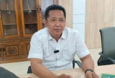 Progres Revitalisasi Sekolah di Kaur Mencapai 40 Persen