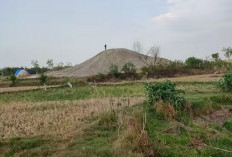 Muncul Gunung Baru dan Fenomena Air Mendidih di Di Areal Persawahan Masyarakat di Grobokan