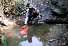 Ciri Ciri Air Tidak Layak Konsumsi Saat Bertahan Hidup Dihutan, Jika Nekat Bisa Berbahaya