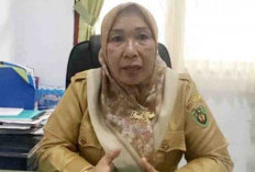 Bantu Rakyat, Pemkab Bengkulu Selatan Usulkan Bantuan Nelayan