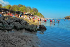 Pantai Sadranan, Objek Wisata Paling Ramai Di Yogyakarta dan Ramah Anak