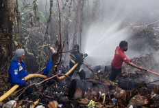 Kebakaran Lahan di Kaur Kian Meluas 