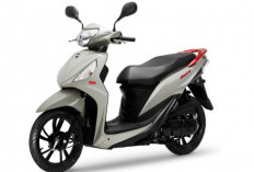Motor SYM Shark 50 CC 2025 Resmi Meluncur, Sasarannya Remaja 16 Tahun, Cocok Pengendara di Asia Tenggara 