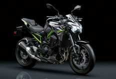 Kawasaki Z900 2025 Resmi Meluncur, Harganya Bikin Kaget!