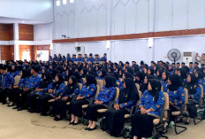 Kabar Baik, 746 PPPK Paruh Waktu Akan Teken Kontrak 