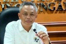 Kendala Anggaran, DLHK Tak Bisa Remajakan Kontainer