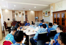 Evaluasi Perkebunan Kaur: Tim Siap Turun ke Lapangan