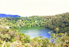 Pesona Danau Tapk Kaki di Bukit Daun Bengkulu, Berada di Hutan Belantara, Keindahan Tiada Lawan