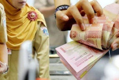 TPP ASN Pemkab Bengkulu Selatan Baru Dicairkan Dua Bulan