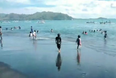 Pantai Cemare Lembar di Lombok Barat: Aktivitas Menarik, Fasilitas dan Rute