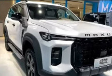 Maxus Territory Mobil Fortuner Versi Rakyat Segera Masuk Indonesia, Harga Murah 100 Jutaan