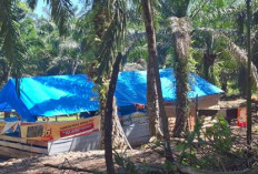 Diduga Sarang Maksiat, Warga Tebat Sibun Minta Warem Dibongkar